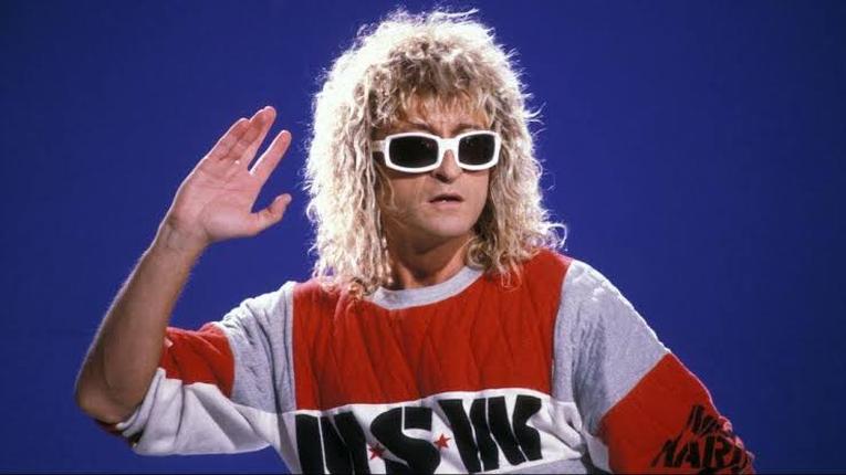 MICHEL POLNAREFF
